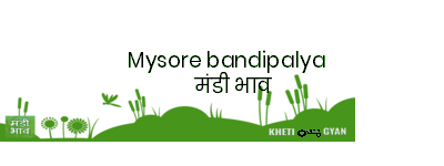Mandi Image